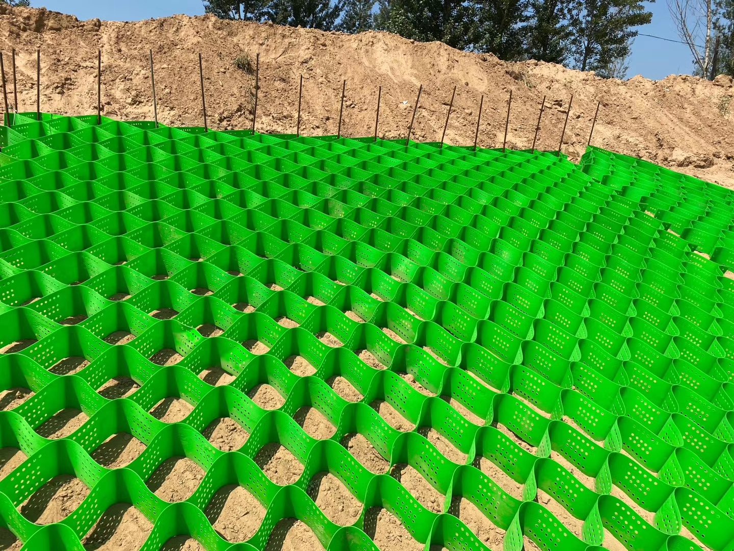 1628809844412962.jpg