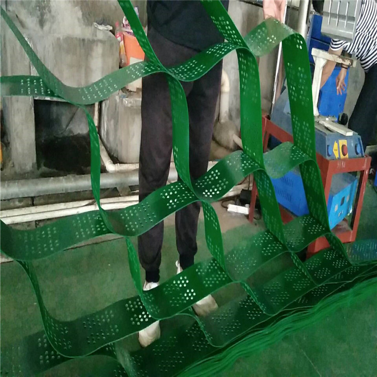 1705371594308143.jpg