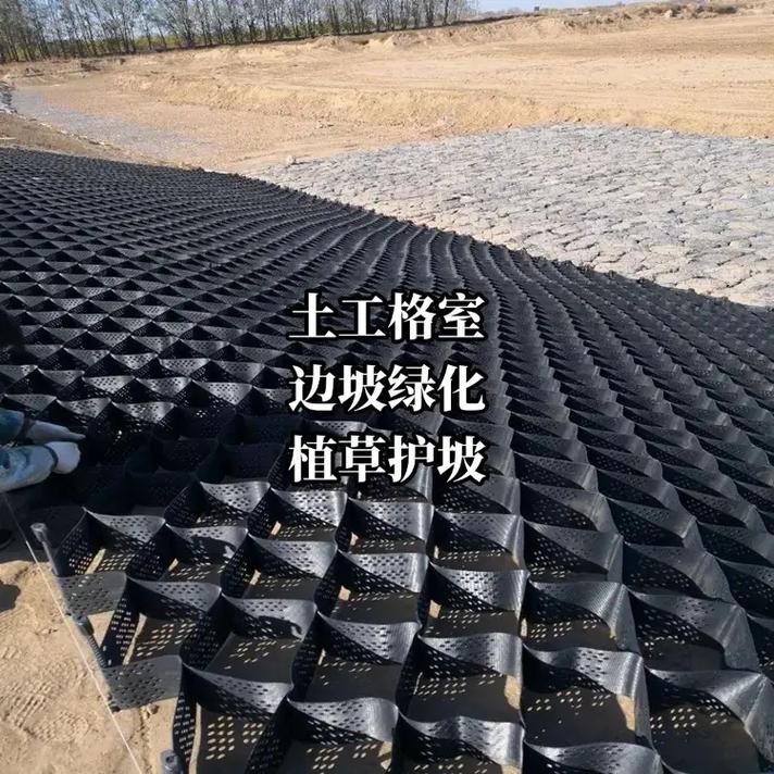 1740646763133776.jpeg
